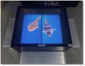 28圈(中国游)官网注册 -APP下载